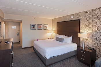 Standard Room, 1 King Bed with Sofa bed