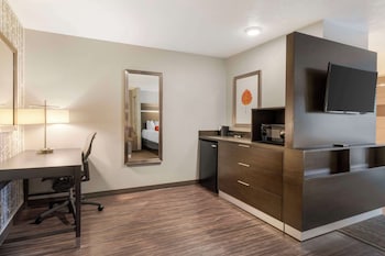 Suite, 1 King Bed, Non Smoking, Refrigerator & Microwave (Pet Friendly;with Sofabed)