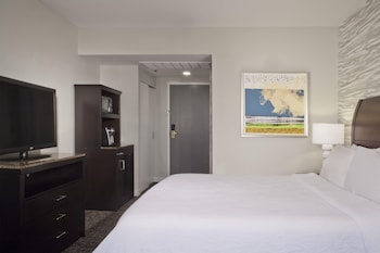 Room, 1 King Bed, Allergy Friendly (Pure)