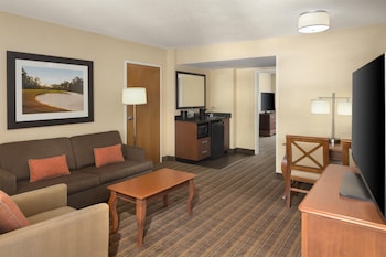 Suite, 1 King Bed with Sofa bed, Microwave