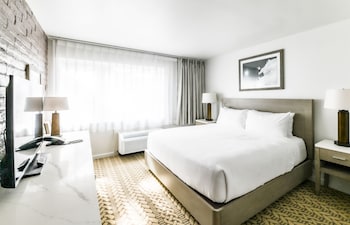 Room, 1 King Bed (ADA, Grab Bars)