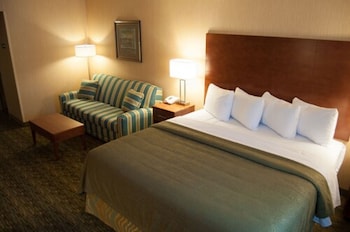 Standard Room, 1 King Bed with Sofa bed, Non Smoking (No Pets)