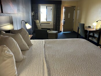 Room, 1 King Bed, Non Smoking