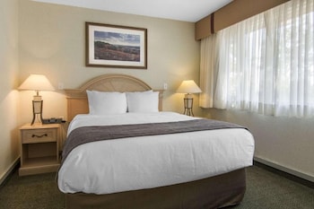 Business Room, 1 King Bed, Non Smoking