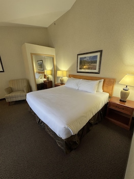 Standard Room, 1 King Bed, Non Smoking, Kitchenette (Dining Table;with Sofabed)