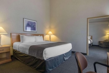 Basic Single Room, 1 Queen Bed, Non Smoking