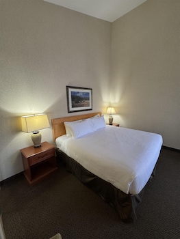 Standard Room, 1 King Bed, Non Smoking, Kitchenette (Dining Table;with Sofabed)