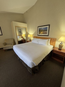 Standard Room, 1 King Bed, Non Smoking, Kitchen (Dining Table;with Sofabed)