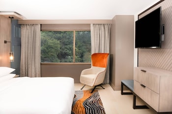 Executive Studio Suite, 1 Bedroom