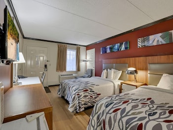 Deluxe Room, 2 Double Beds, Non Smoking