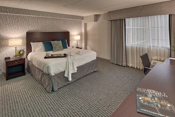 Executive Room, 1 King Bed with Sofa bed