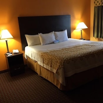 Room, 1 King Bed, Accessible, Non Smoking (Roll-In Shower)