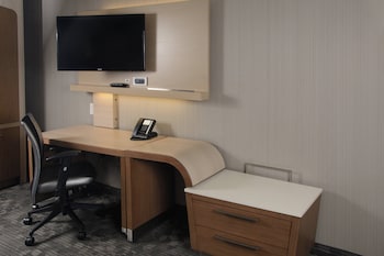 Room, 1 King Bed with Sofa bed