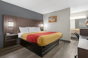 Room, 1 King Bed, Smoking
