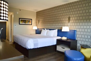 Room, 1 King Bed (Accessible Roll-in Shower)