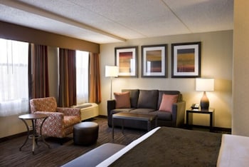 Business Suite, 1 King Bed, Non Smoking, Microwave