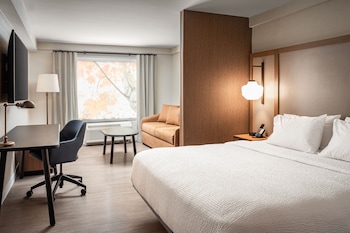 Suite, 1 King Bed with Sofa bed