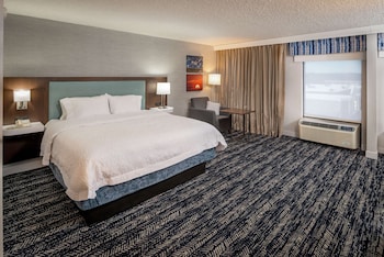 Room, 1 King Bed, Non Smoking