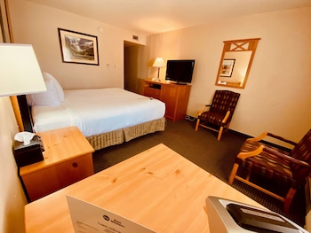 Standard Room, 1 King Bed, Non Smoking (Pet Friendly)