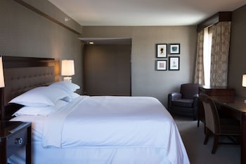 Traditional Room, 1 King Bed (Mobility Accessible, Roll-In Shower)