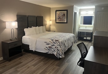 Deluxe Room, 1 King Bed, Non Smoking