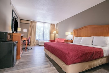 Room, 1 King Bed, Accessible Bathtub, Non Smoking