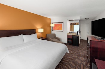 Standard Room, 1 King Bed, Accessible (Roll-In Shower)