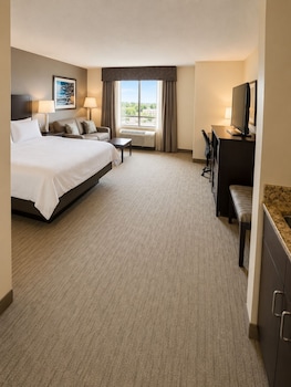 Standard Room, 1 King Bed, Accessible (Roll-In Shower)