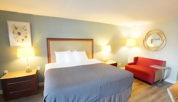 Premium Single Room, 1 King Bed, Non Smoking