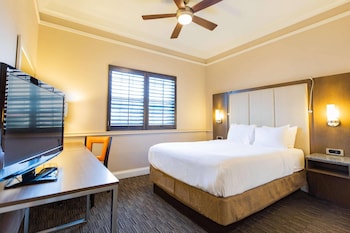 Suite, 1 Bedroom (NonSmoking  )