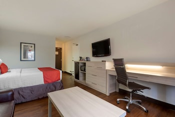 Standard Room, 1 Queen Bed, Non Smoking, Refrigerator & Microwave (with Sofabed)