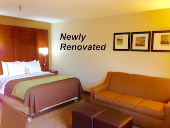 Standard Room, 1 Queen Bed with Sofa bed, Non Smoking