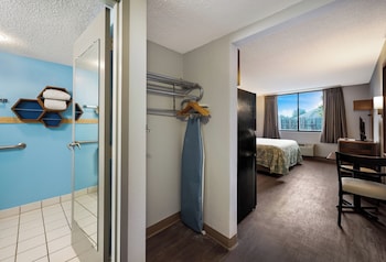 Studio, 1 King Bed, Accessible, Non Smoking