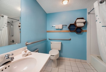 Studio, 1 King Bed, Accessible, Non Smoking