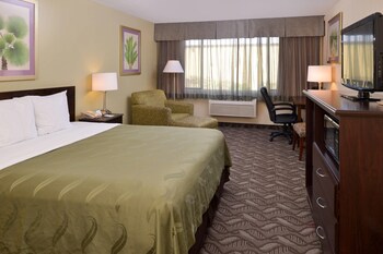 Standard Room, 1 King Bed, Accessible with Roll-In Shower, Non Smoking