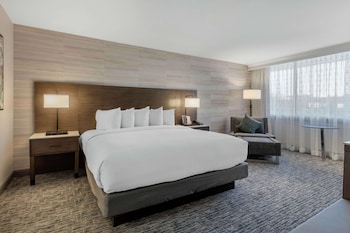 Room, 1 King Bed