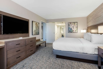 Room, 1 King Bed