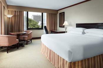 Standard Room, 1 King Bed, City View