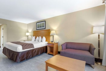 Standard Room, 1 King Bed, Non Smoking, Jetted Tub