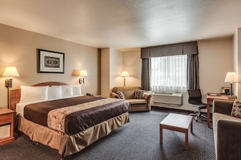 Standard Room, 1 King Bed, Accessible, Refrigerator & Microwave (Pet Friendly)