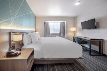 Suite, 1 King Bed with Sofa bed, Non Smoking (Efficiency)