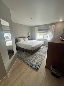 Standard Room, 1 King Bed, Non Smoking, Refrigerator & Microwave (Pet Friendly)
