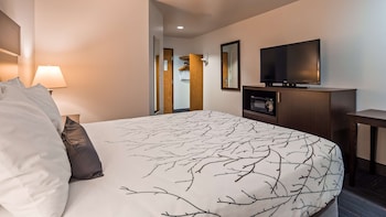 Standard Room, 1 Queen Bed, Non Smoking, Refrigerator & Microwave (Pet Friendly)