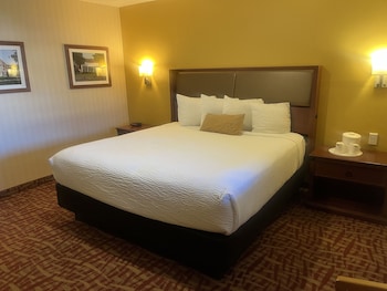 Basic Single Room