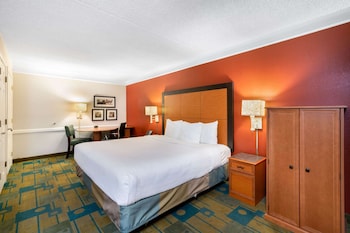 Room, 1 King Bed, Accessible, Non Smoking (Mobility Accessible)