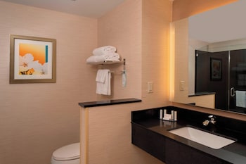 Room, 1 King Bed (Mobility Accessible, Roll-in Shower)