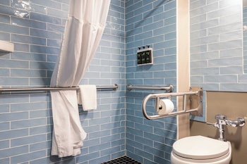 Room, 1 King Bed, Roll-in Shower, Non Smoking