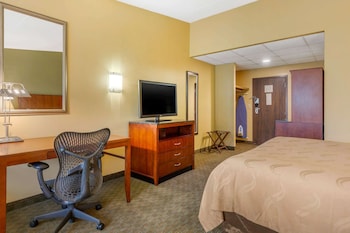Standard Room, 1 King Bed with Sofa bed, Non Smoking