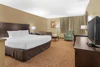 Standard Room, 1 King Bed with Sofa bed, Non Smoking