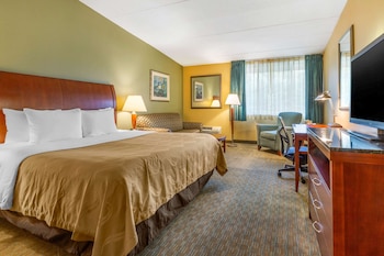 Standard Room, 1 King Bed with Sofa bed, Non Smoking